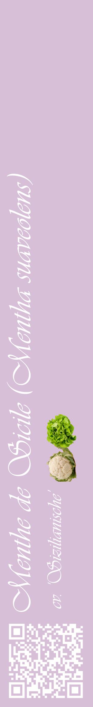 Étiquette de : Mentha suaveolens cv. 'Sizilianische' - format c - style blanche54_basiqueviv avec qrcode et comestibilité simplifiée