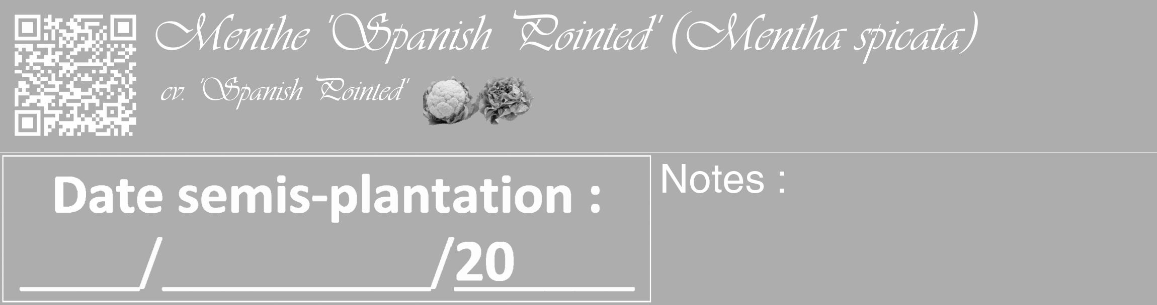 Étiquette de : Mentha spicata cv. 'Spanish Pointed' - format c - style blanche22basique_basique_basiqueviv avec qrcode et comestibilité simplifiée