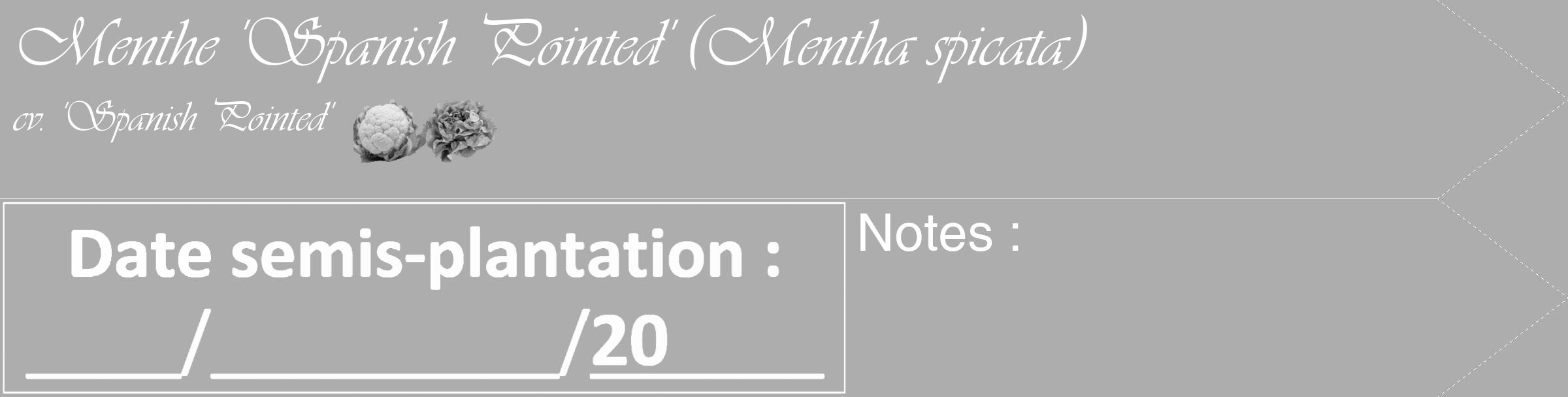 Étiquette de : Mentha spicata cv. 'Spanish Pointed' - format c - style blanche22simple_simple_simpleviv avec comestibilité simplifiée