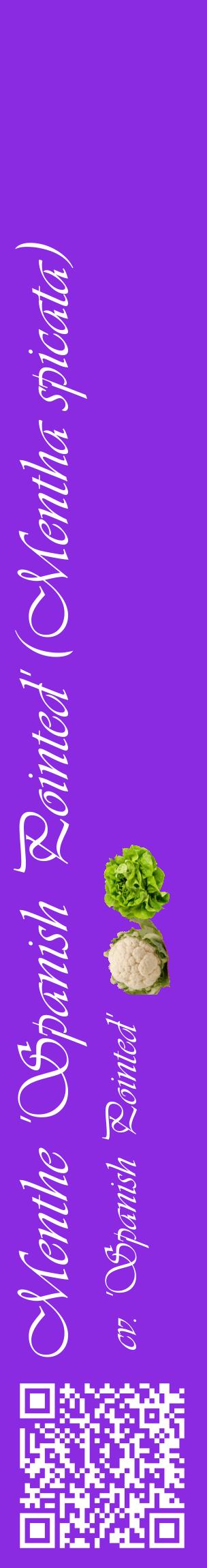 Étiquette de : Mentha spicata cv. 'Spanish Pointed' - format c - style blanche49_basiqueviv avec qrcode et comestibilité simplifiée