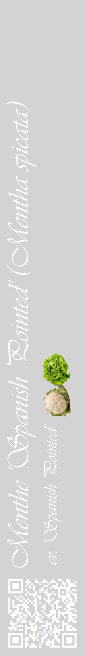 Étiquette de : Mentha spicata cv. 'Spanish Pointed' - format c - style blanche56_basiqueviv avec qrcode et comestibilité simplifiée