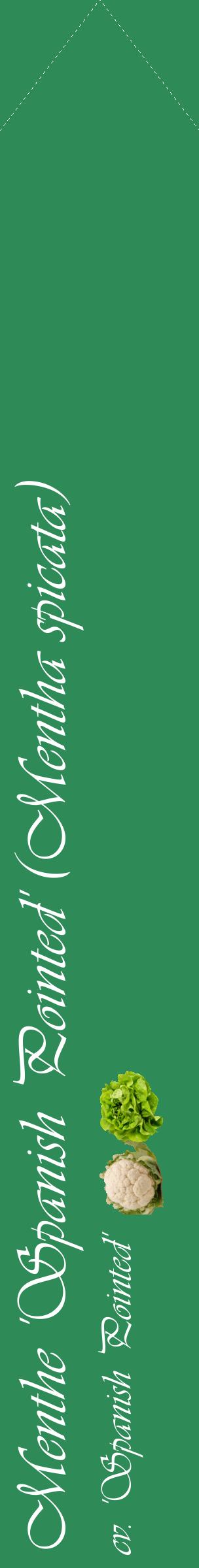 Étiquette de : Mentha spicata cv. 'Spanish Pointed' - format c - style blanche11_simpleviv avec comestibilité simplifiée