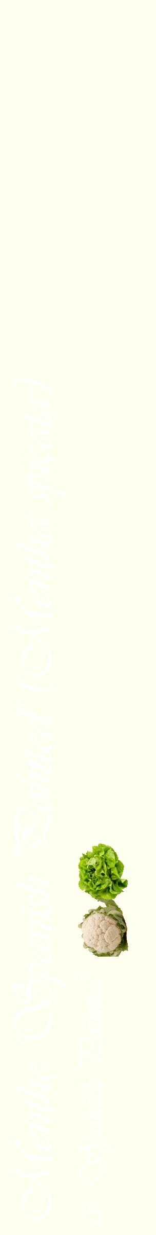 Étiquette de : Mentha spicata cv. 'Spanish Pointed' - format c - style blanche19_simpleviv avec comestibilité simplifiée