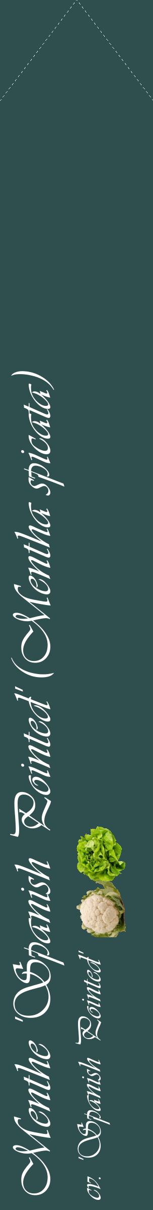 Étiquette de : Mentha spicata cv. 'Spanish Pointed' - format c - style blanche58_simpleviv avec comestibilité simplifiée