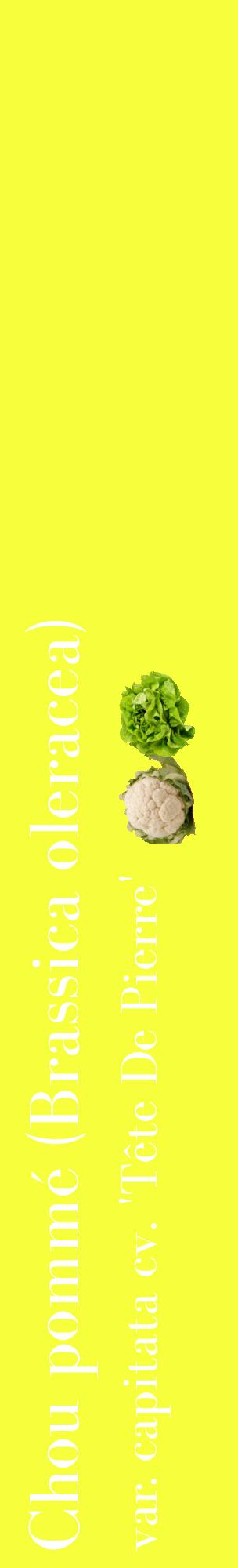 Étiquette de : Brassica oleracea var. capitata cv. 'Tête De Pierre' - format c - style blanche18_basiquebod avec comestibilité simplifiée