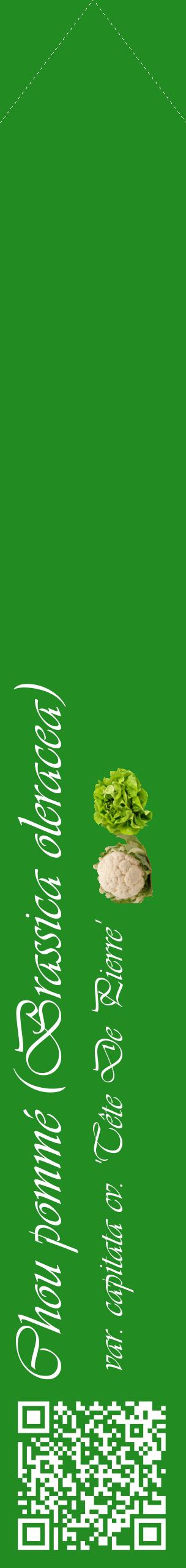 Étiquette de : Brassica oleracea var. capitata cv. 'Tête De Pierre' - format c - style blanche10_simpleviv avec qrcode et comestibilité simplifiée