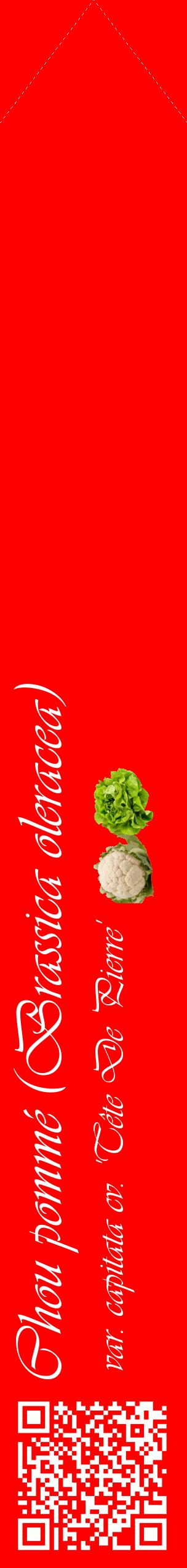Étiquette de : Brassica oleracea var. capitata cv. 'Tête De Pierre' - format c - style blanche27_simpleviv avec qrcode et comestibilité simplifiée