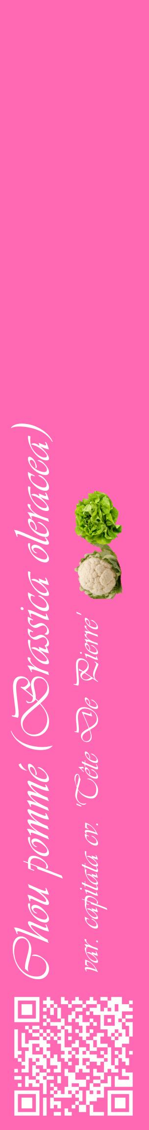 Étiquette de : Brassica oleracea var. capitata cv. 'Tête De Pierre' - format c - style blanche42_basiqueviv avec qrcode et comestibilité simplifiée