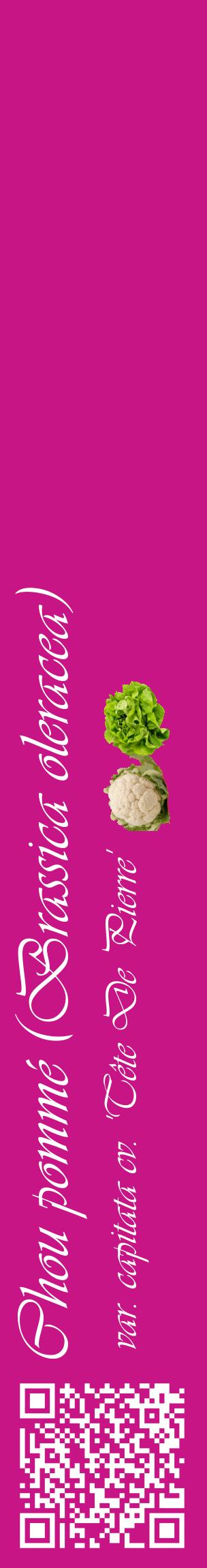 Étiquette de : Brassica oleracea var. capitata cv. 'Tête De Pierre' - format c - style blanche45_basiqueviv avec qrcode et comestibilité simplifiée