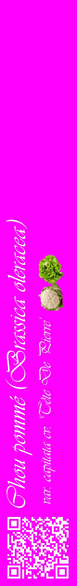 Étiquette de : Brassica oleracea var. capitata cv. 'Tête De Pierre' - format c - style blanche51_basiqueviv avec qrcode et comestibilité simplifiée