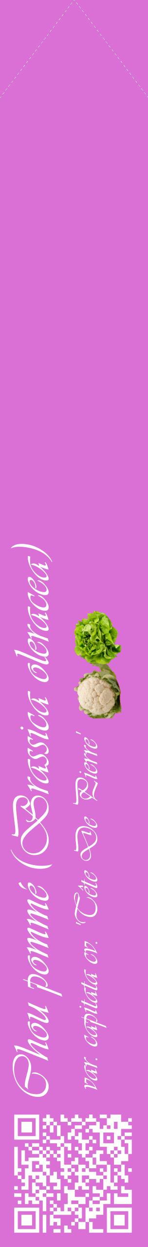 Étiquette de : Brassica oleracea var. capitata cv. 'Tête De Pierre' - format c - style blanche52_simpleviv avec qrcode et comestibilité simplifiée
