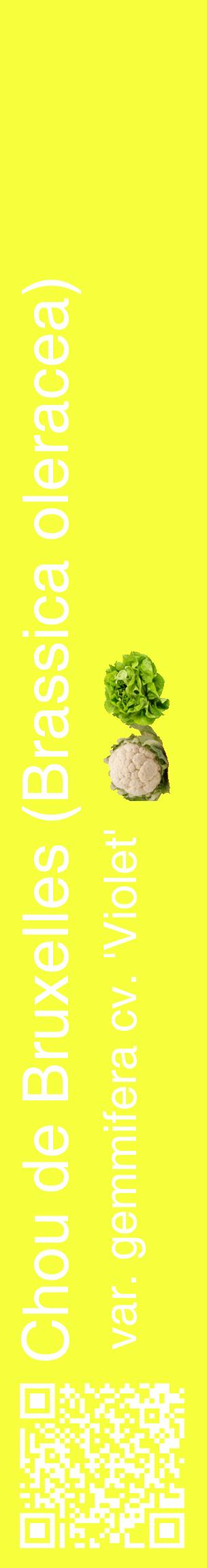 Étiquette de : Brassica oleracea var. gemmifera cv. 'Violet' - format c - style blanche18_basiquehel avec qrcode et comestibilité simplifiée