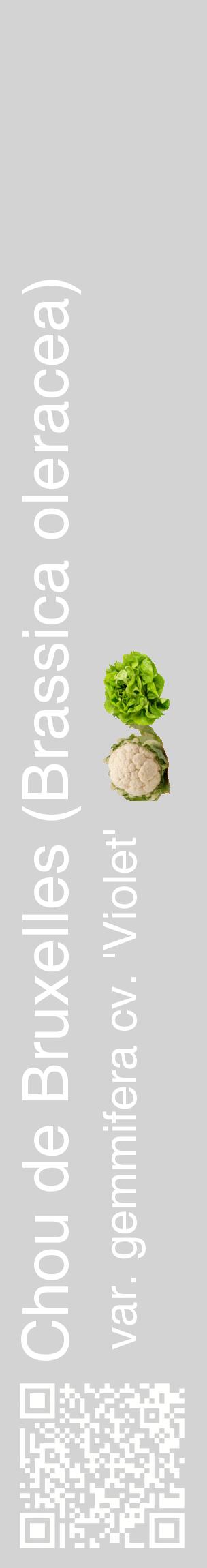 Étiquette de : Brassica oleracea var. gemmifera cv. 'Violet' - format c - style blanche56_basiquehel avec qrcode et comestibilité simplifiée