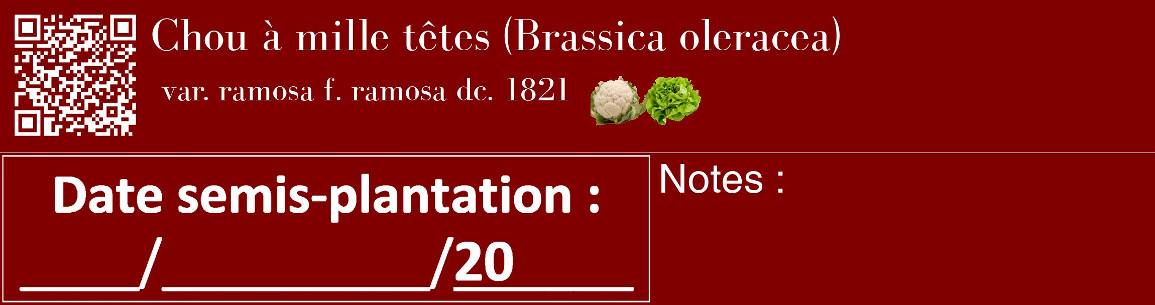Étiquette de : Brassica oleracea var. ramosa f. ramosa dc. 1821 - format c - style blanche29_basique_basiquebod avec qrcode et comestibilité simplifiée