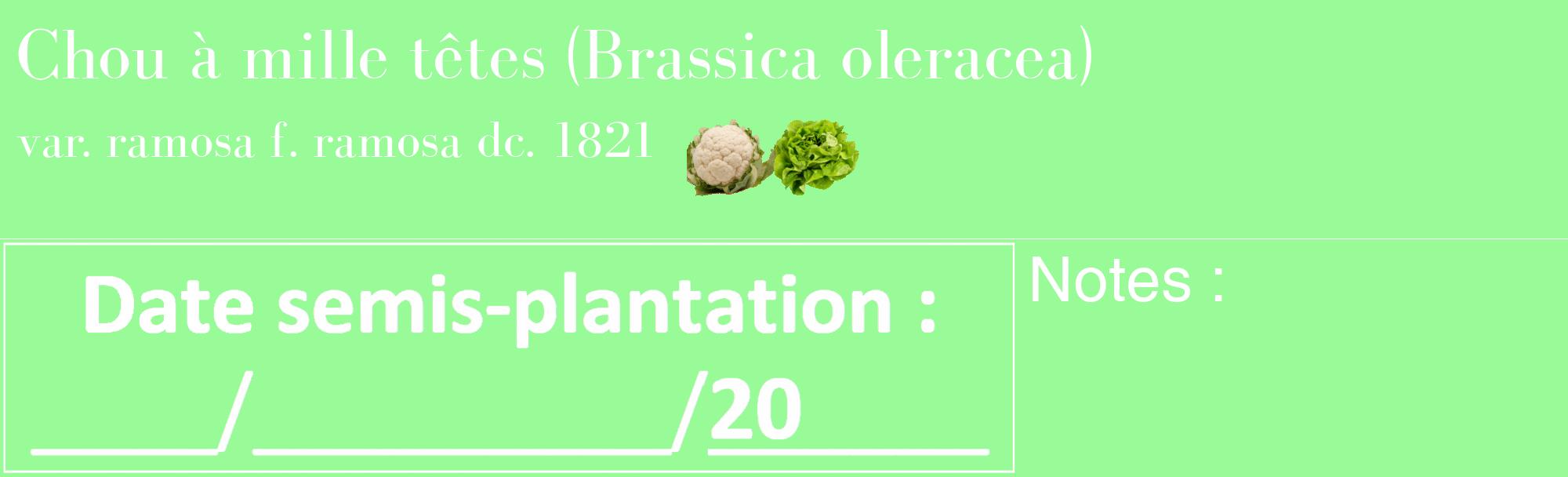 Étiquette de : Brassica oleracea var. ramosa f. ramosa dc. 1821 - format c - style blanche14_basique_basiquebod avec comestibilité simplifiée
