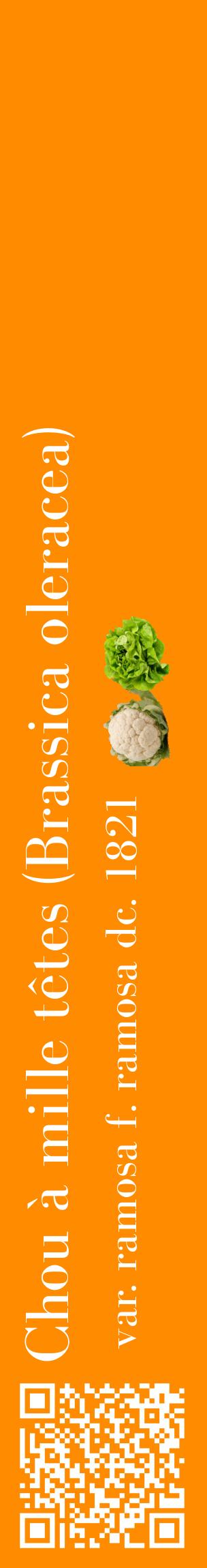 Étiquette de : Brassica oleracea var. ramosa f. ramosa dc. 1821 - format c - style blanche23_basiquebod avec qrcode et comestibilité simplifiée