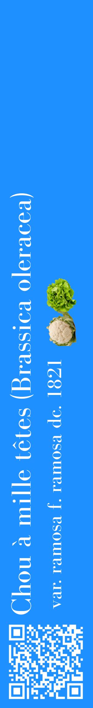 Étiquette de : Brassica oleracea var. ramosa f. ramosa dc. 1821 - format c - style blanche3_basiquebod avec qrcode et comestibilité simplifiée