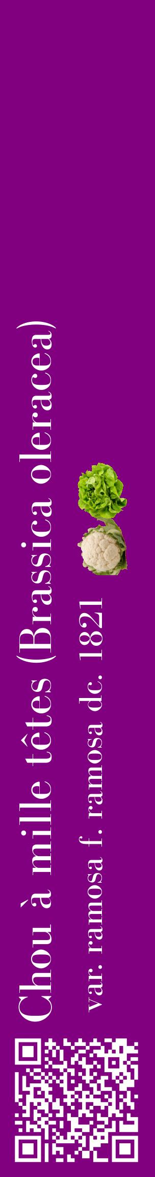 Étiquette de : Brassica oleracea var. ramosa f. ramosa dc. 1821 - format c - style blanche46_basiquebod avec qrcode et comestibilité simplifiée