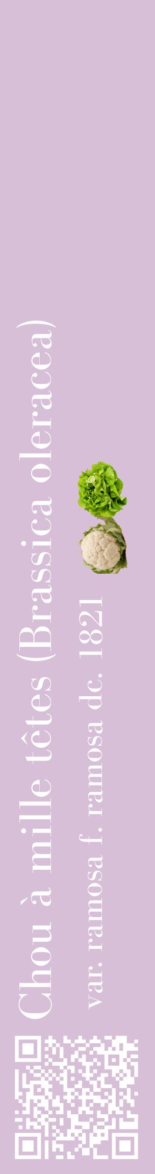 Étiquette de : Brassica oleracea var. ramosa f. ramosa dc. 1821 - format c - style blanche54_basiquebod avec qrcode et comestibilité simplifiée
