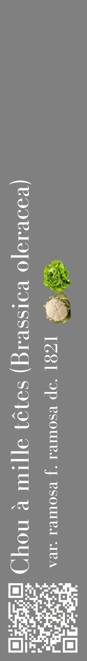 Étiquette de : Brassica oleracea var. ramosa f. ramosa dc. 1821 - format c - style blanche57_basiquebod avec qrcode et comestibilité simplifiée