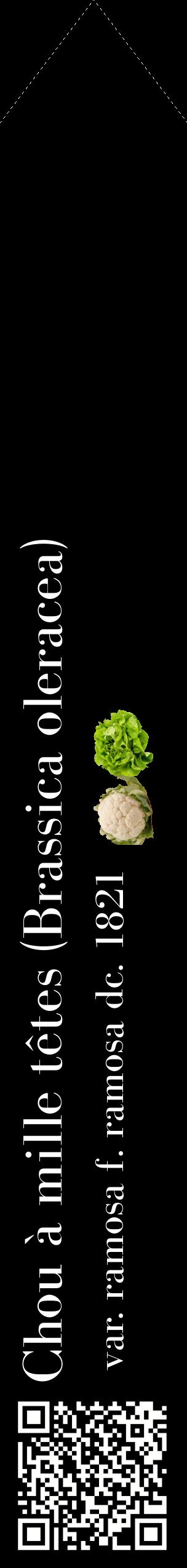 Étiquette de : Brassica oleracea var. ramosa f. ramosa dc. 1821 - format c - style blanche59_simplebod avec qrcode et comestibilité simplifiée