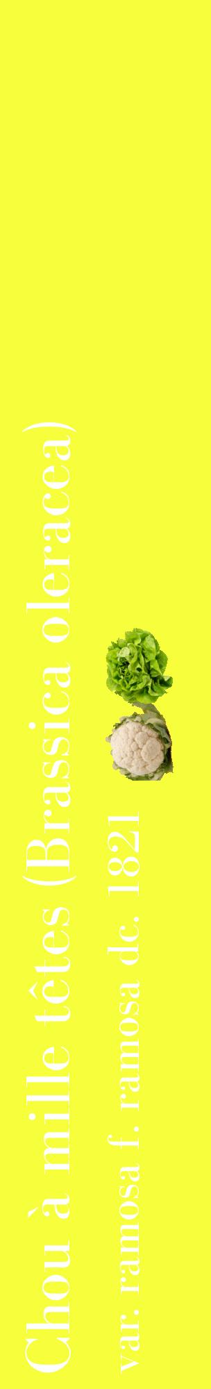 Étiquette de : Brassica oleracea var. ramosa f. ramosa dc. 1821 - format c - style blanche18_basiquebod avec comestibilité simplifiée