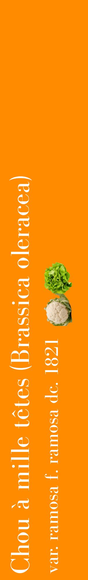 Étiquette de : Brassica oleracea var. ramosa f. ramosa dc. 1821 - format c - style blanche23_basiquebod avec comestibilité simplifiée
