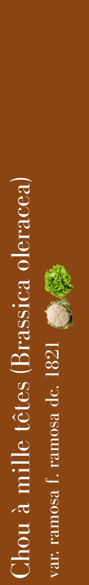 Étiquette de : Brassica oleracea var. ramosa f. ramosa dc. 1821 - format c - style blanche30_basiquebod avec comestibilité simplifiée