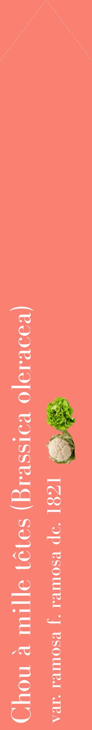Étiquette de : Brassica oleracea var. ramosa f. ramosa dc. 1821 - format c - style blanche38_simplebod avec comestibilité simplifiée