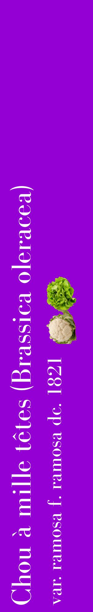 Étiquette de : Brassica oleracea var. ramosa f. ramosa dc. 1821 - format c - style blanche48_basiquebod avec comestibilité simplifiée