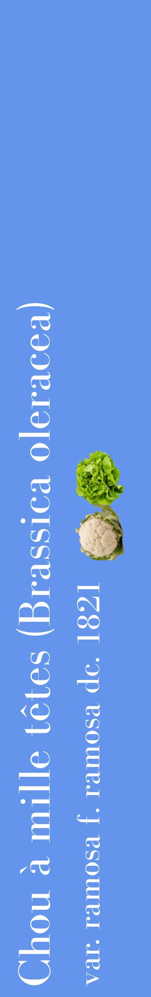 Étiquette de : Brassica oleracea var. ramosa f. ramosa dc. 1821 - format c - style blanche4_basiquebod avec comestibilité simplifiée
