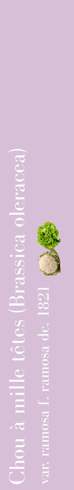 Étiquette de : Brassica oleracea var. ramosa f. ramosa dc. 1821 - format c - style blanche54_basiquebod avec comestibilité simplifiée