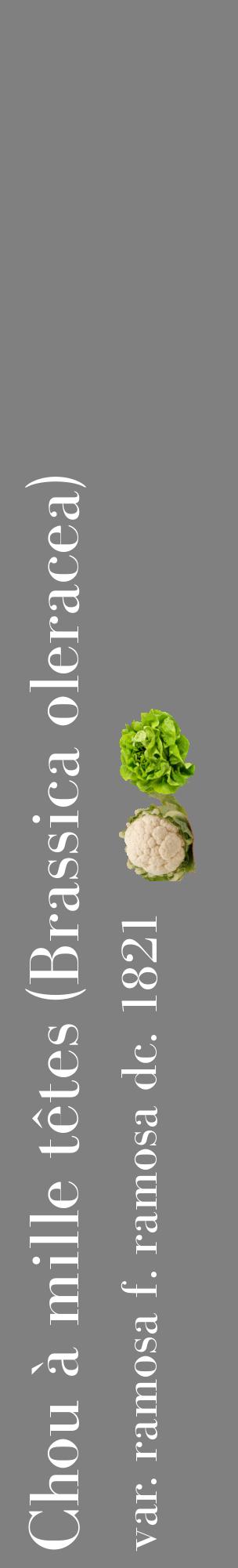 Étiquette de : Brassica oleracea var. ramosa f. ramosa dc. 1821 - format c - style blanche57_basiquebod avec comestibilité simplifiée