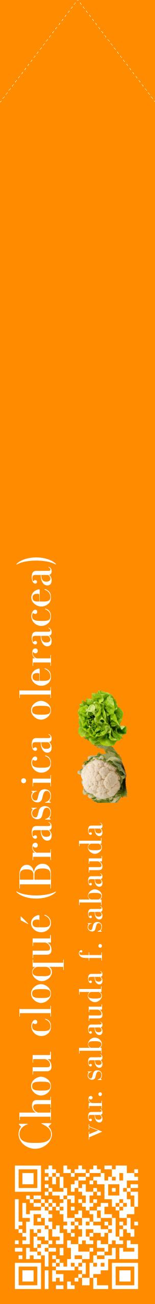Étiquette de : Brassica oleracea var. sabauda f. sabauda - format c - style blanche23_simplebod avec qrcode et comestibilité simplifiée