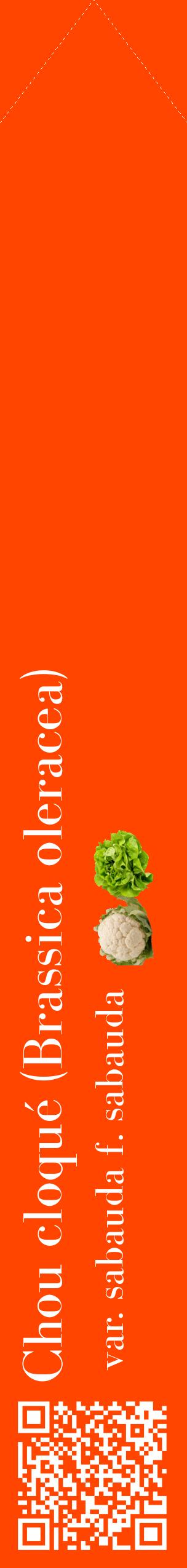 Étiquette de : Brassica oleracea var. sabauda f. sabauda - format c - style blanche26_simplebod avec qrcode et comestibilité simplifiée