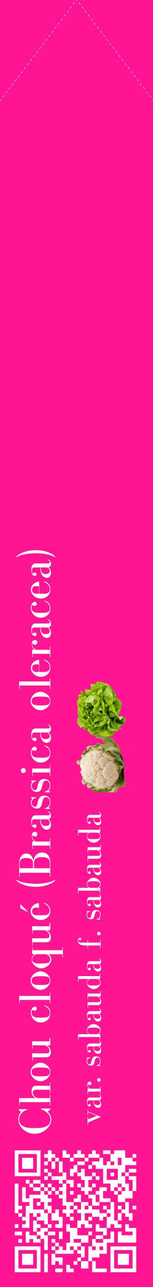 Étiquette de : Brassica oleracea var. sabauda f. sabauda - format c - style blanche43_simplebod avec qrcode et comestibilité simplifiée