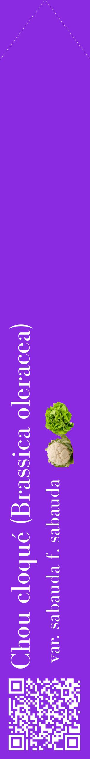 Étiquette de : Brassica oleracea var. sabauda f. sabauda - format c - style blanche49_simplebod avec qrcode et comestibilité simplifiée