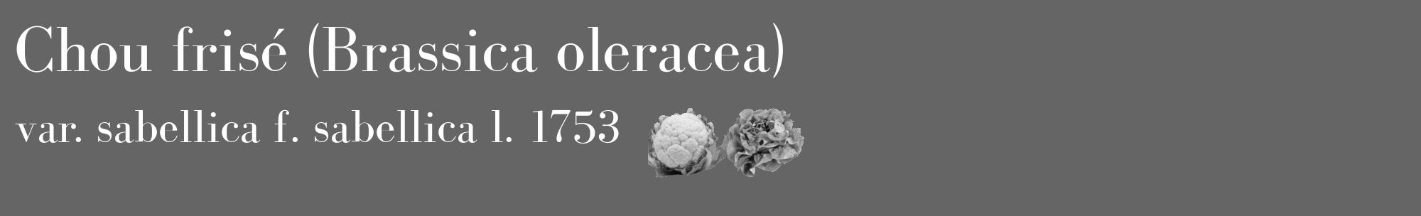 Étiquette de : Brassica oleracea var. sabellica f. sabellica l. 1753 - format c - style blanche32_basique_basiquebod avec comestibilité simplifiée