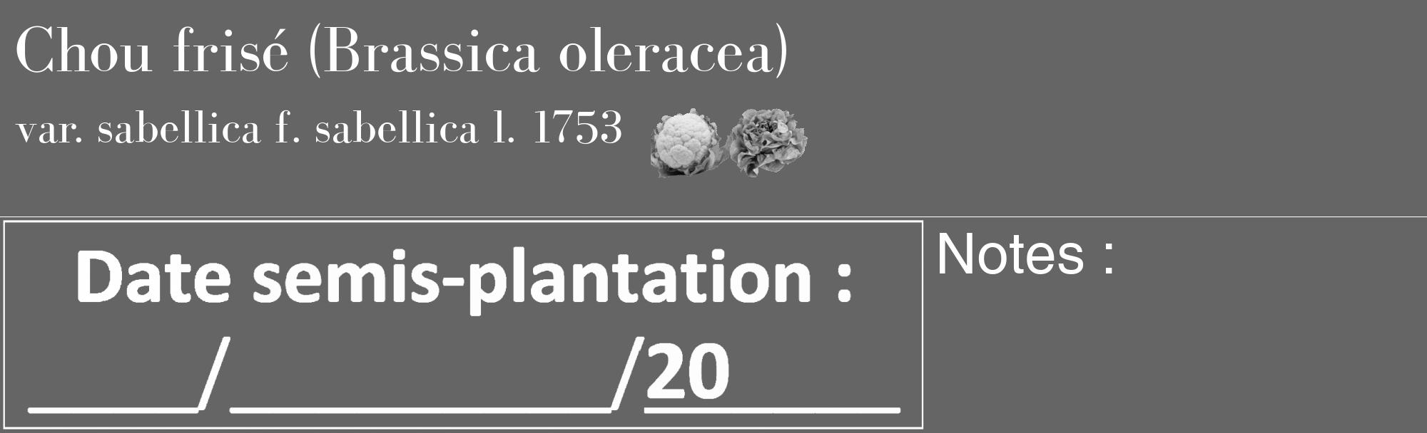 Étiquette de : Brassica oleracea var. sabellica f. sabellica l. 1753 - format c - style blanche32_basique_basiquebod avec comestibilité simplifiée