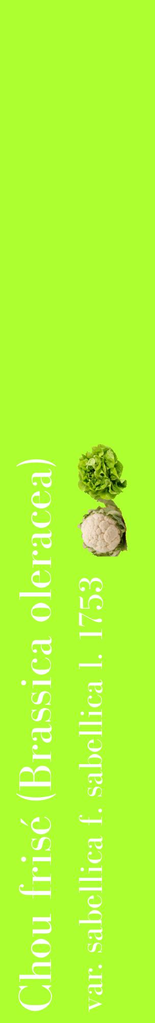 Étiquette de : Brassica oleracea var. sabellica f. sabellica l. 1753 - format c - style blanche17_basiquebod avec comestibilité simplifiée