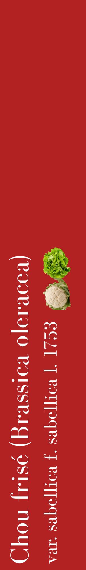 Étiquette de : Brassica oleracea var. sabellica f. sabellica l. 1753 - format c - style blanche28_basiquebod avec comestibilité simplifiée