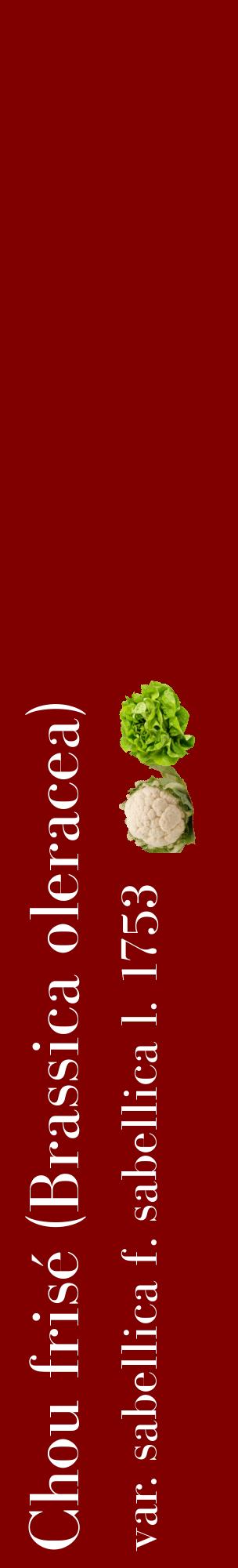 Étiquette de : Brassica oleracea var. sabellica f. sabellica l. 1753 - format c - style blanche29_basiquebod avec comestibilité simplifiée