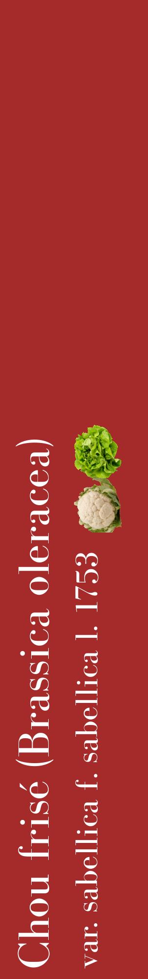 Étiquette de : Brassica oleracea var. sabellica f. sabellica l. 1753 - format c - style blanche33_basiquebod avec comestibilité simplifiée