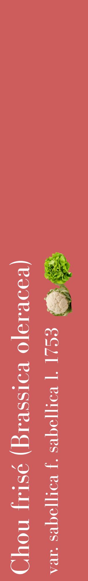 Étiquette de : Brassica oleracea var. sabellica f. sabellica l. 1753 - format c - style blanche35_basiquebod avec comestibilité simplifiée