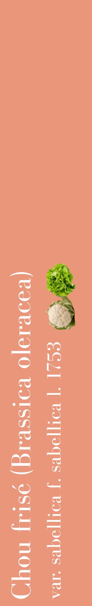 Étiquette de : Brassica oleracea var. sabellica f. sabellica l. 1753 - format c - style blanche37_basiquebod avec comestibilité simplifiée