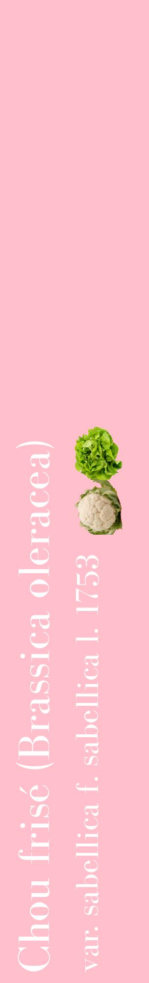 Étiquette de : Brassica oleracea var. sabellica f. sabellica l. 1753 - format c - style blanche40_basiquebod avec comestibilité simplifiée