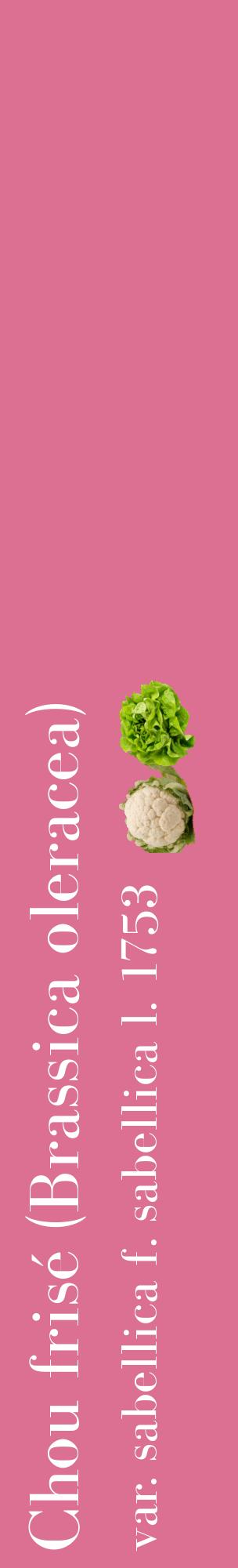 Étiquette de : Brassica oleracea var. sabellica f. sabellica l. 1753 - format c - style blanche44_basiquebod avec comestibilité simplifiée