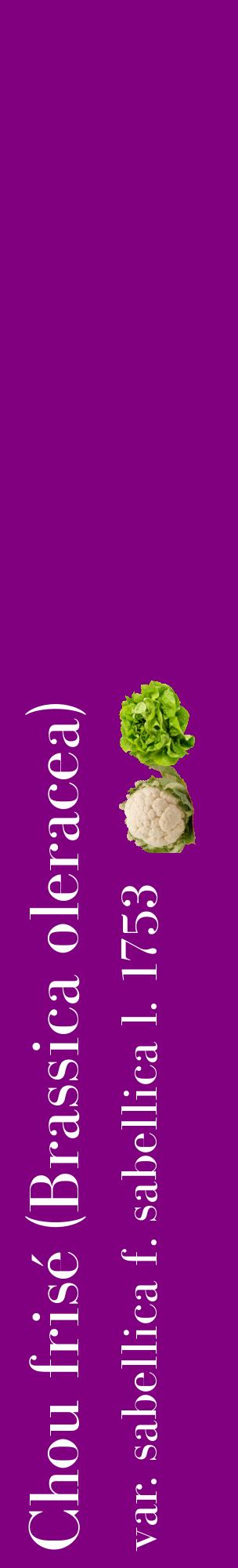 Étiquette de : Brassica oleracea var. sabellica f. sabellica l. 1753 - format c - style blanche46_basiquebod avec comestibilité simplifiée