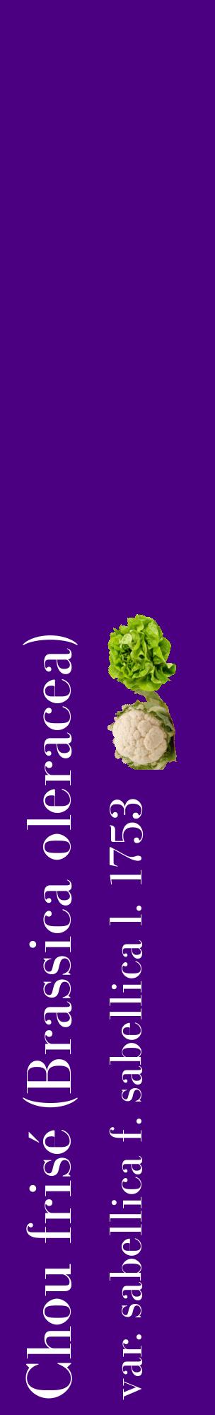 Étiquette de : Brassica oleracea var. sabellica f. sabellica l. 1753 - format c - style blanche47_basiquebod avec comestibilité simplifiée