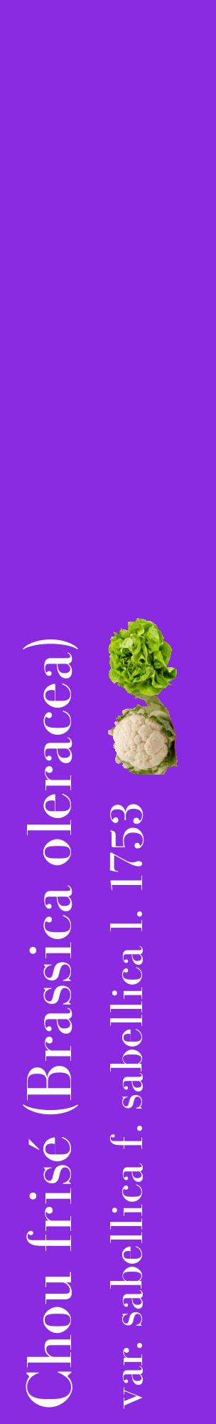 Étiquette de : Brassica oleracea var. sabellica f. sabellica l. 1753 - format c - style blanche49_basiquebod avec comestibilité simplifiée